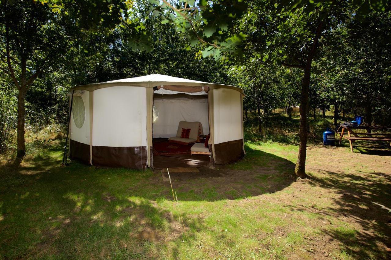 Dgg Woodland Escape Otel South Barrow Dış mekan fotoğraf