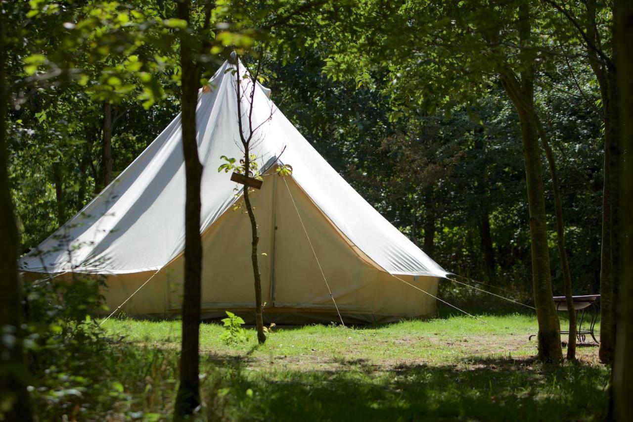Dgg Woodland Escape Otel South Barrow Dış mekan fotoğraf