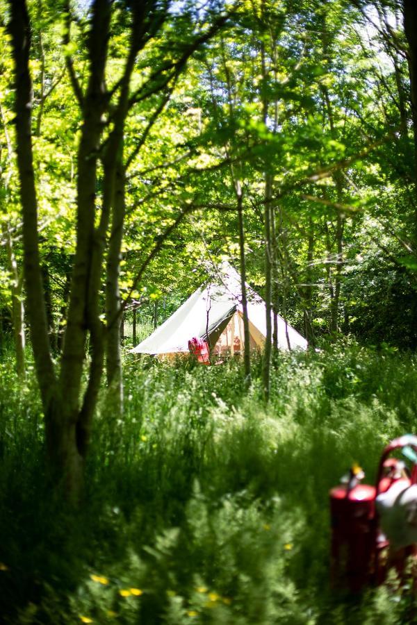 Dgg Woodland Escape Otel South Barrow Dış mekan fotoğraf