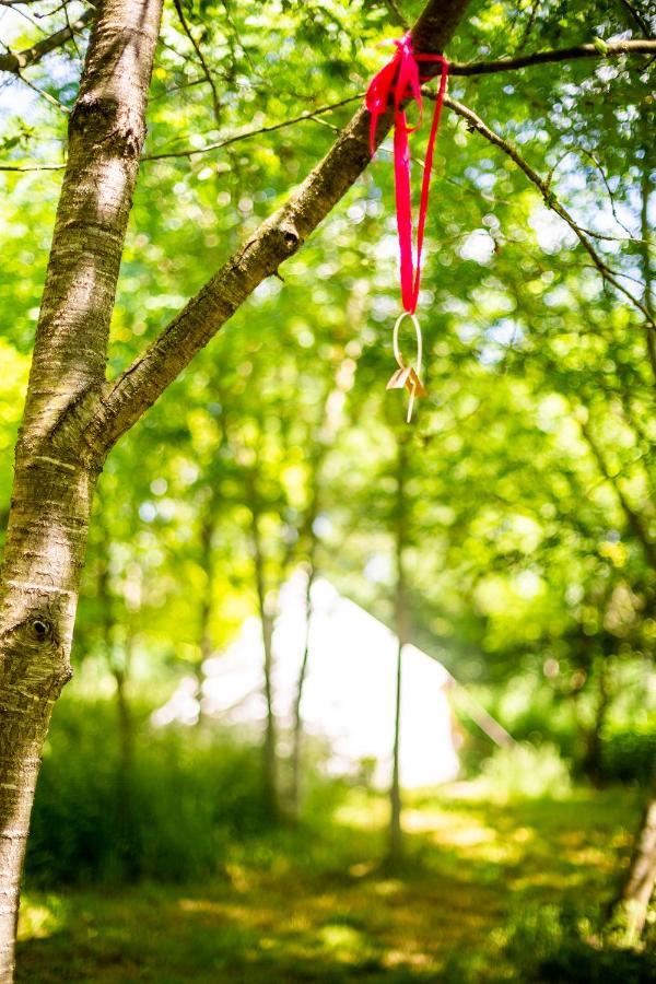 Dgg Woodland Escape Otel South Barrow Dış mekan fotoğraf