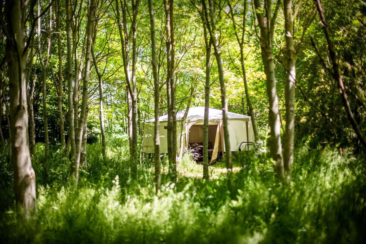 Dgg Woodland Escape Otel South Barrow Dış mekan fotoğraf