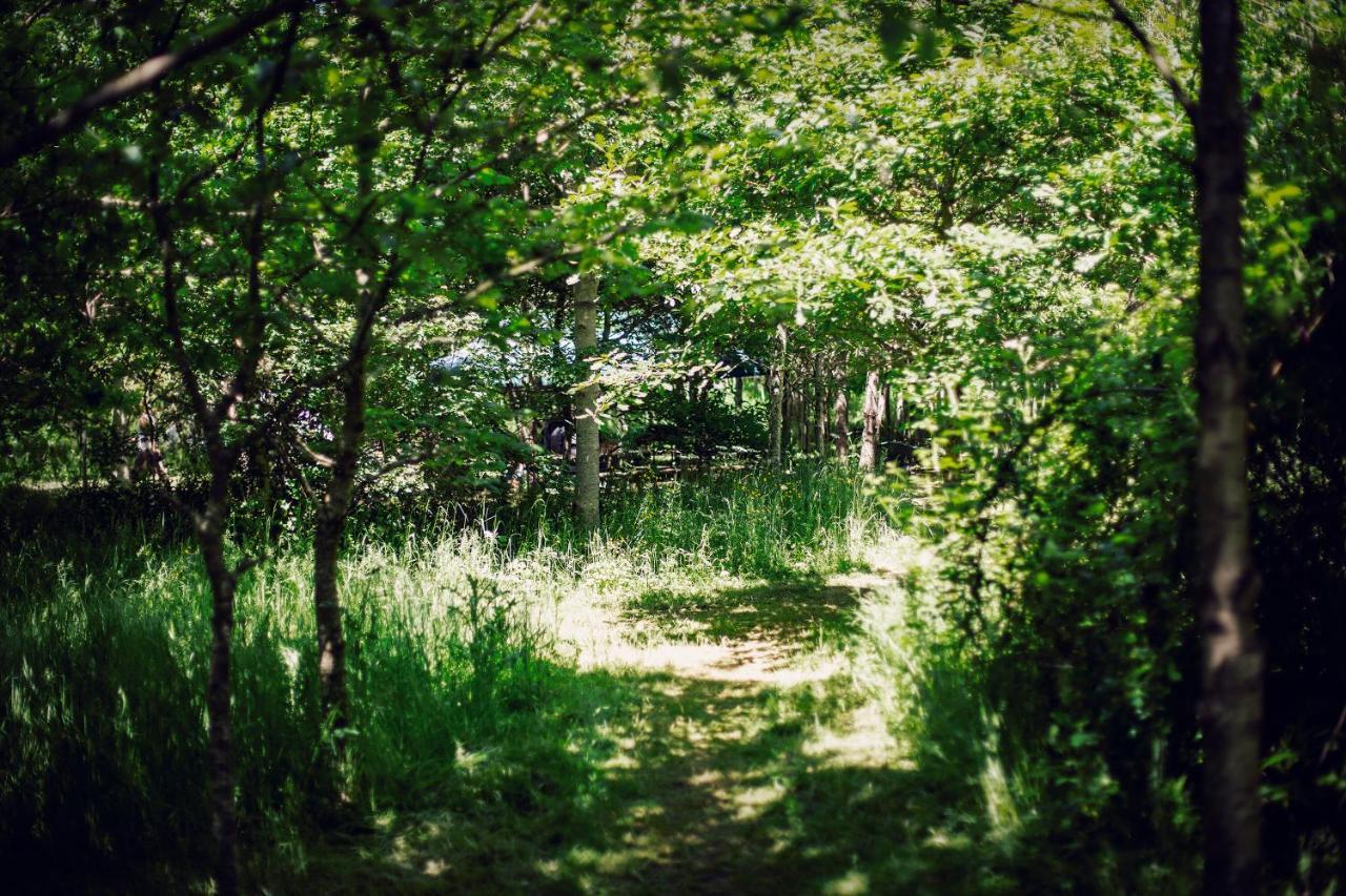 Dgg Woodland Escape Otel South Barrow Dış mekan fotoğraf