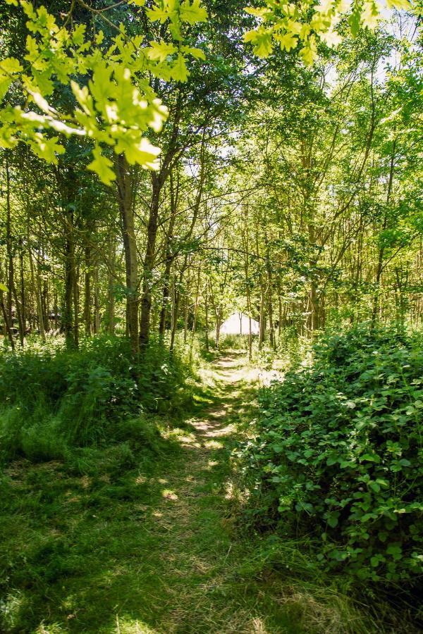 Dgg Woodland Escape Otel South Barrow Dış mekan fotoğraf
