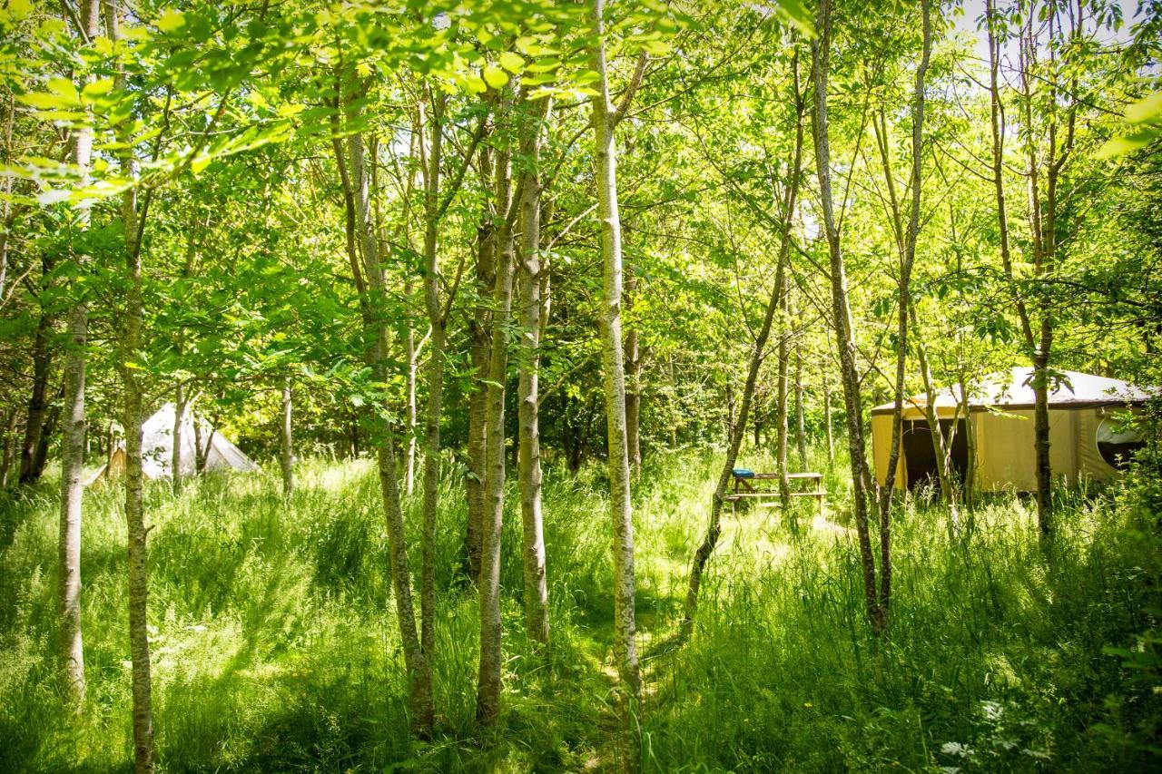 Dgg Woodland Escape Otel South Barrow Dış mekan fotoğraf