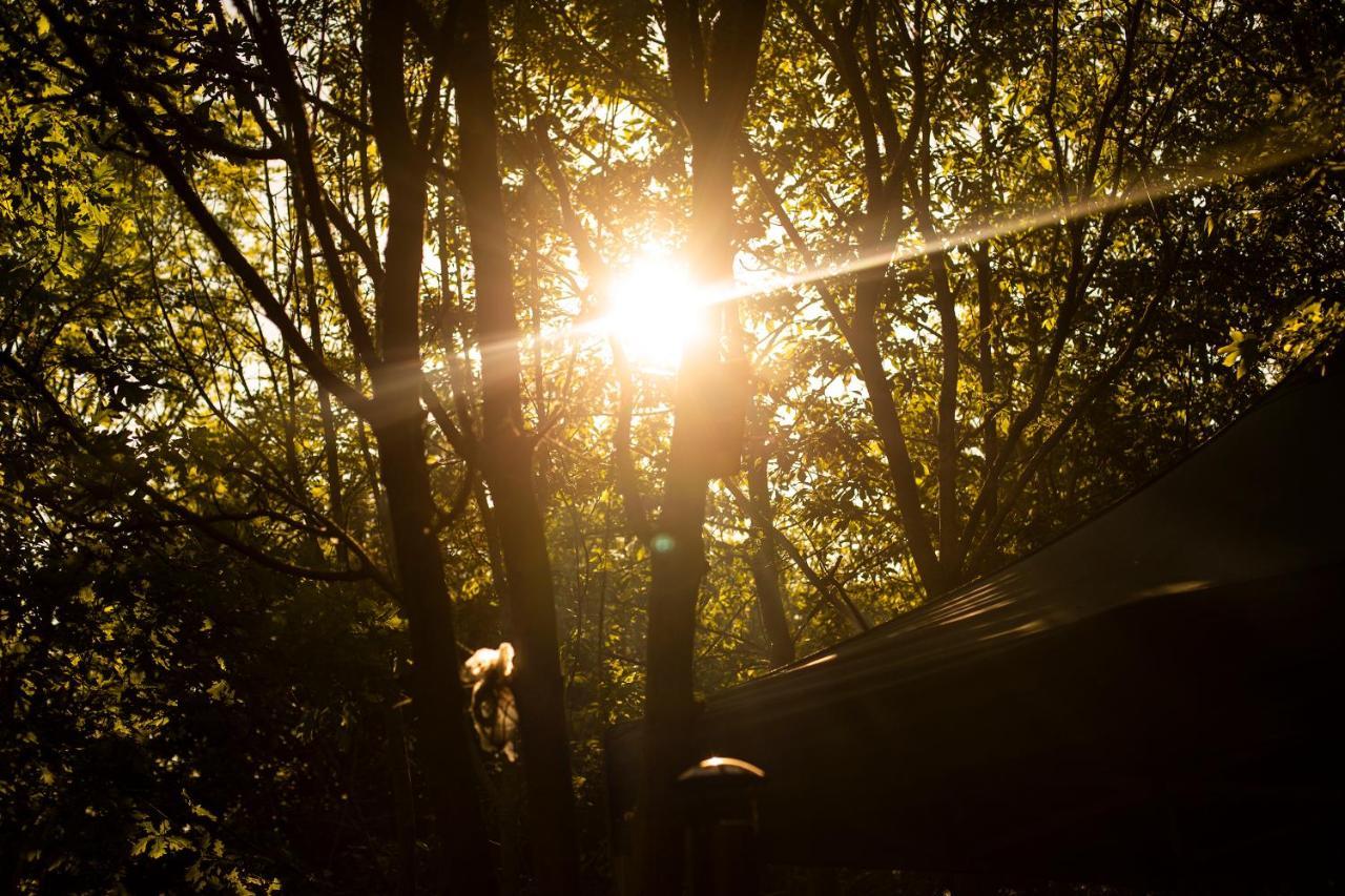 Dgg Woodland Escape Otel South Barrow Dış mekan fotoğraf