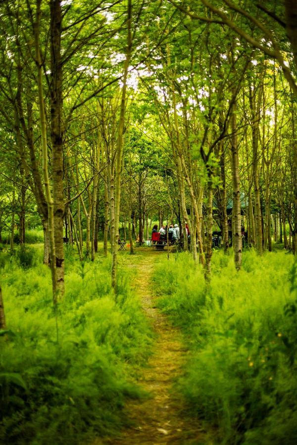 Dgg Woodland Escape Otel South Barrow Dış mekan fotoğraf